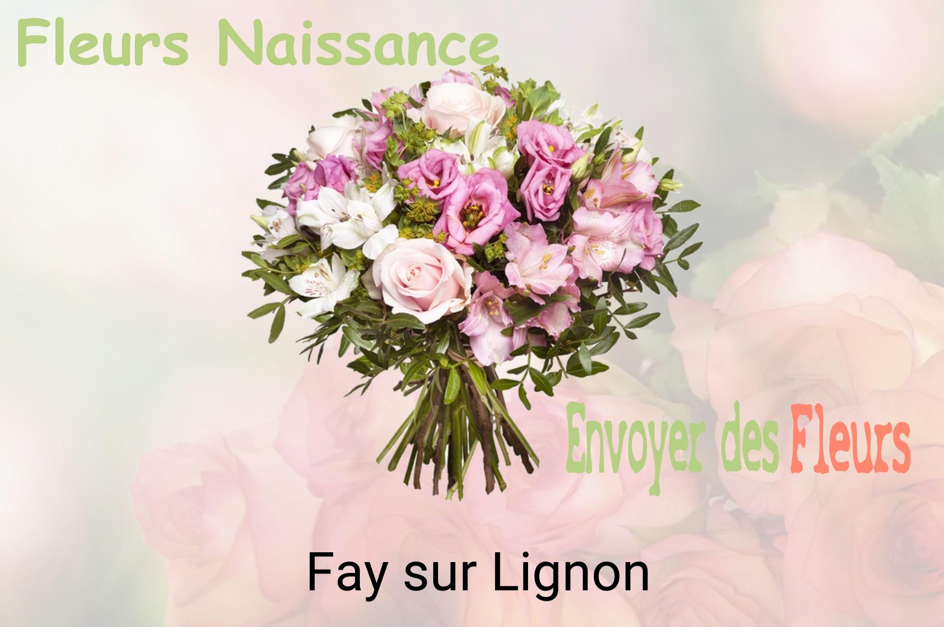 Bouquet de fleurs de naissance livré à Fay-sur-Lignon
