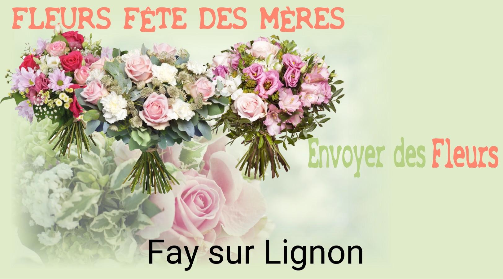 Bouquet de Fête des Mères livré à Fay-sur-Lignon